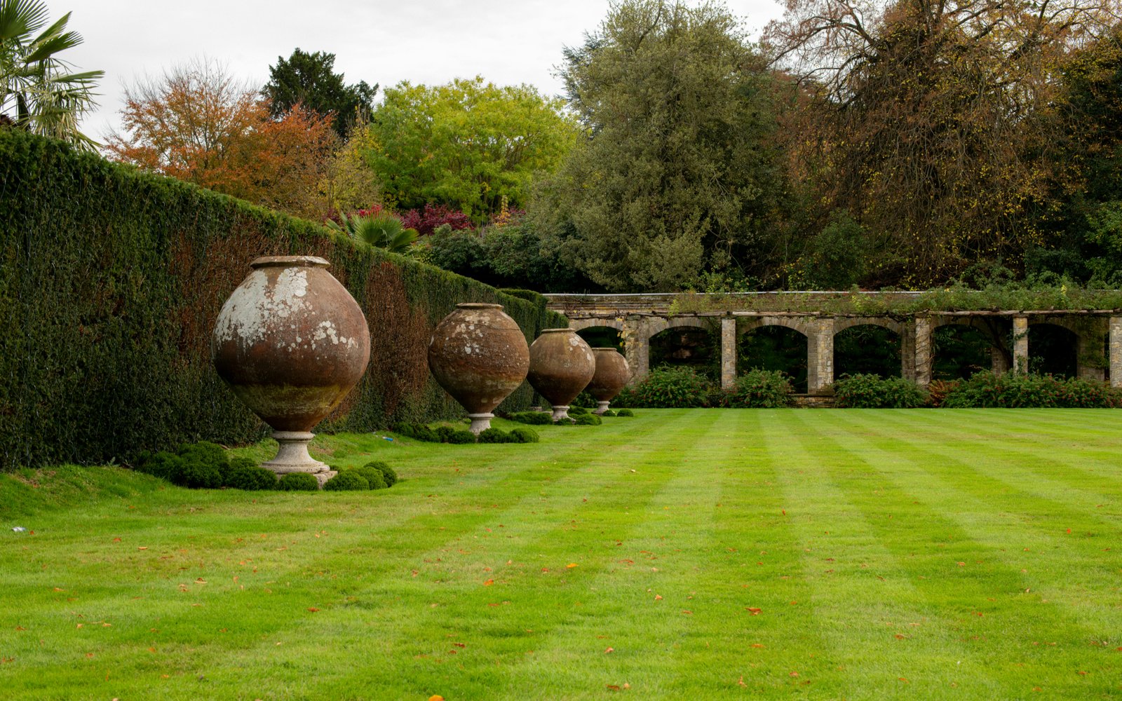 Original state of the full garden design before AI redesign by RYY
